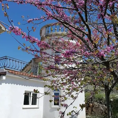 Rapunzel Apartment Brovinje